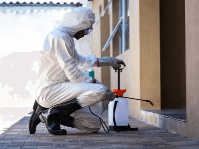 About Suffolk Integrated Pest Management - integrated pest management experts in Suffolk